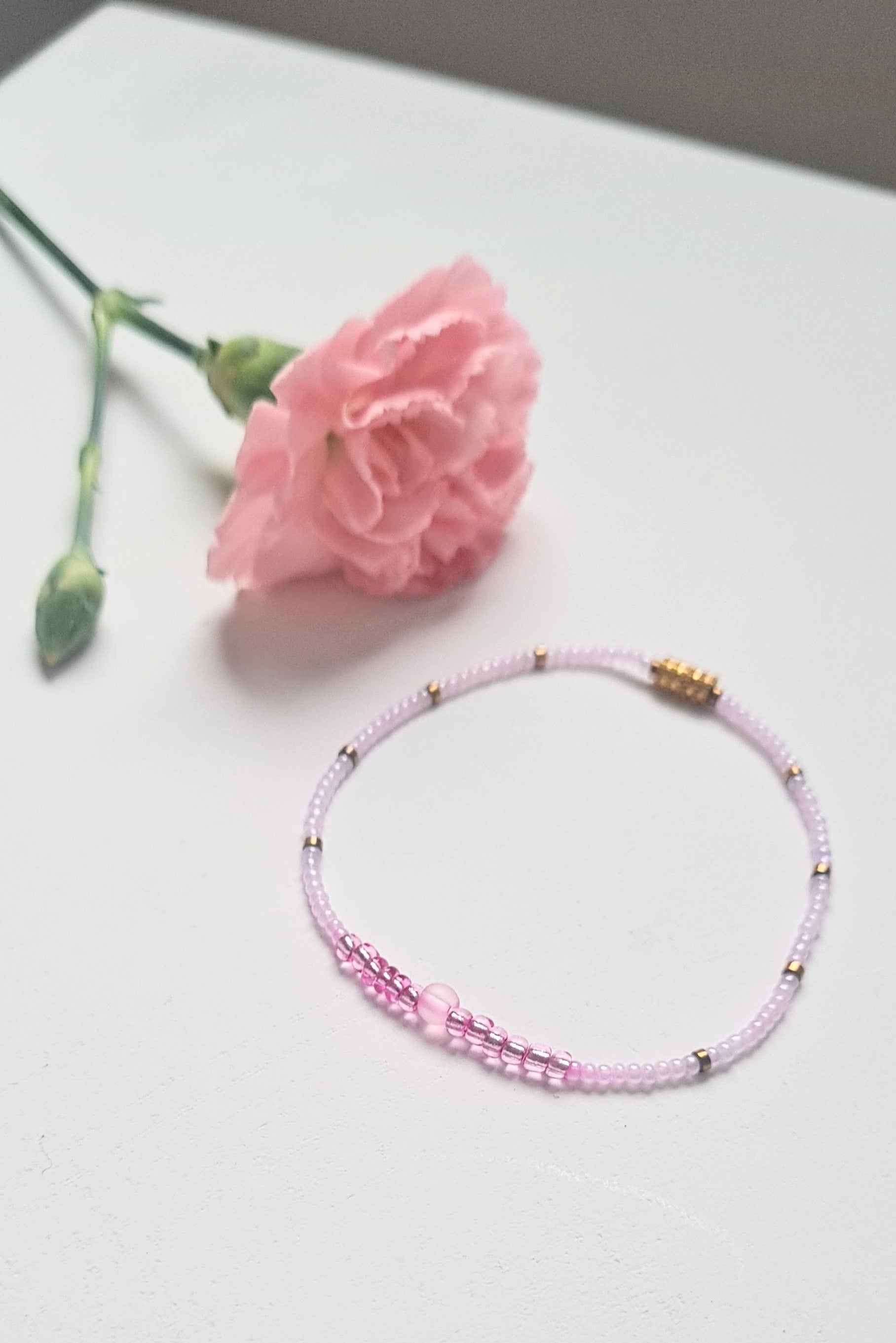 Lavender 11 |The Light of Dawn