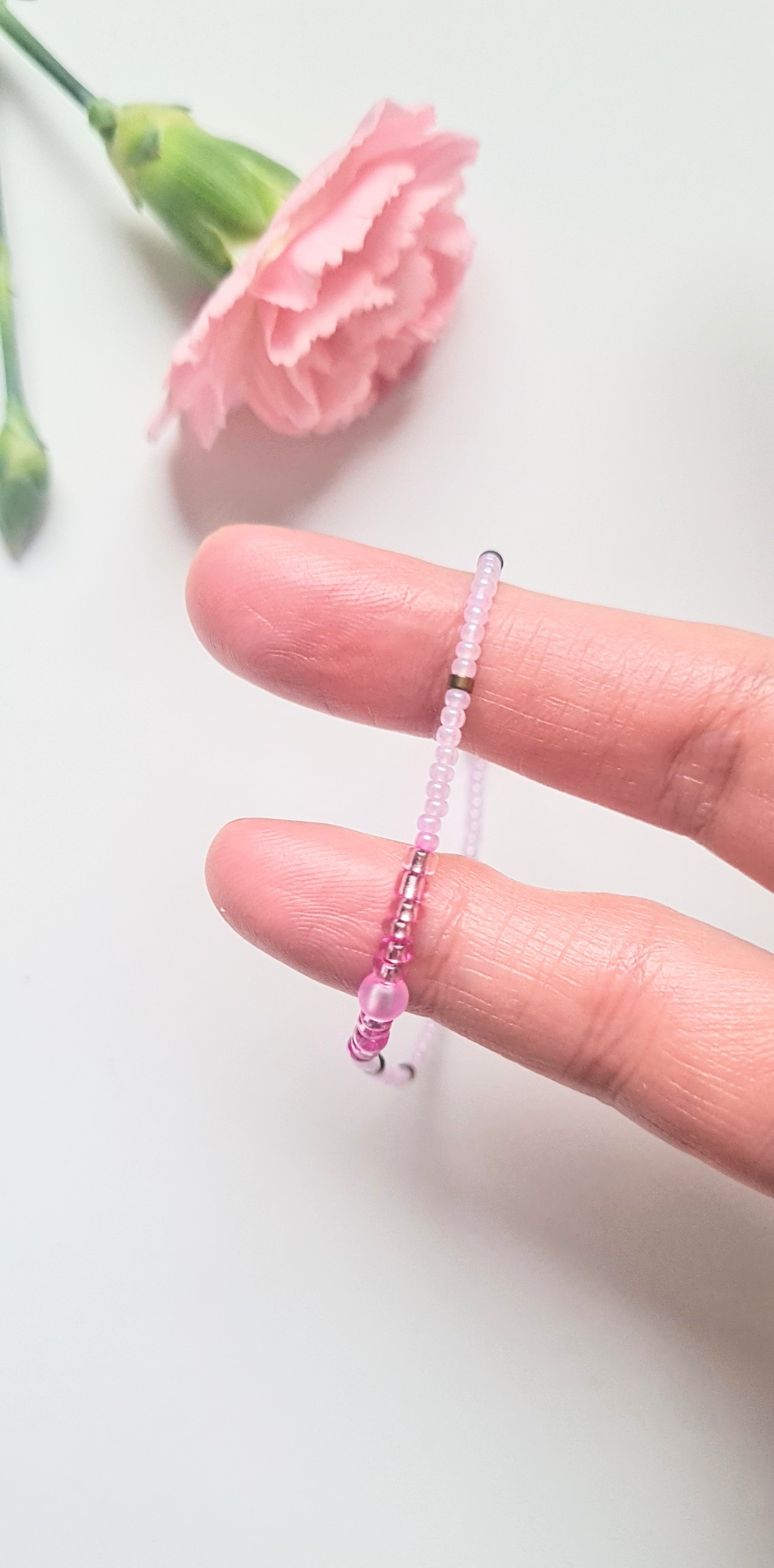 Lavender 11 |The Light of Dawn