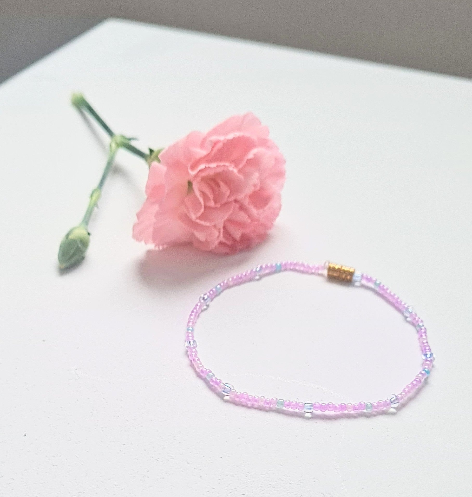 Lavender 09|The Light of Dawn