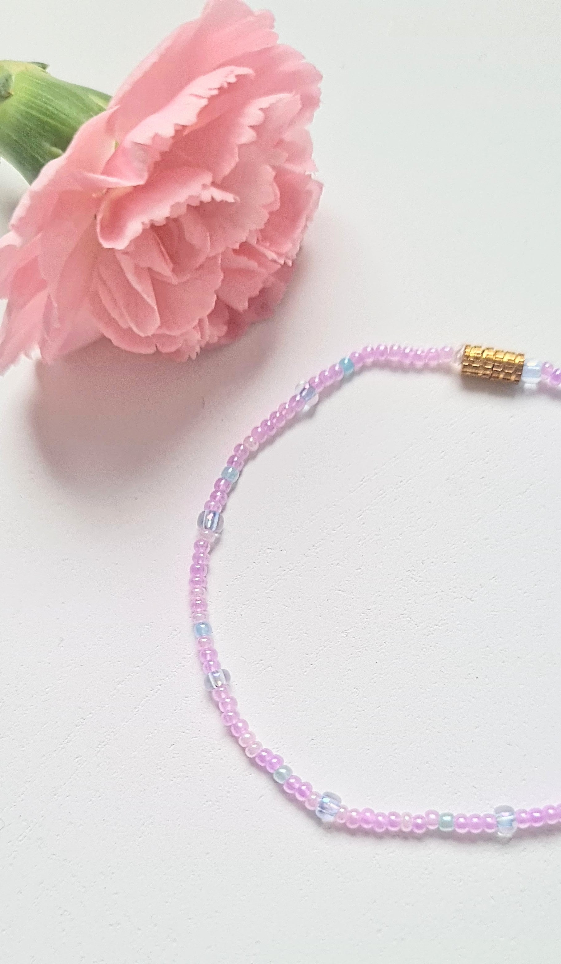Lavender 09|The Light of Dawn