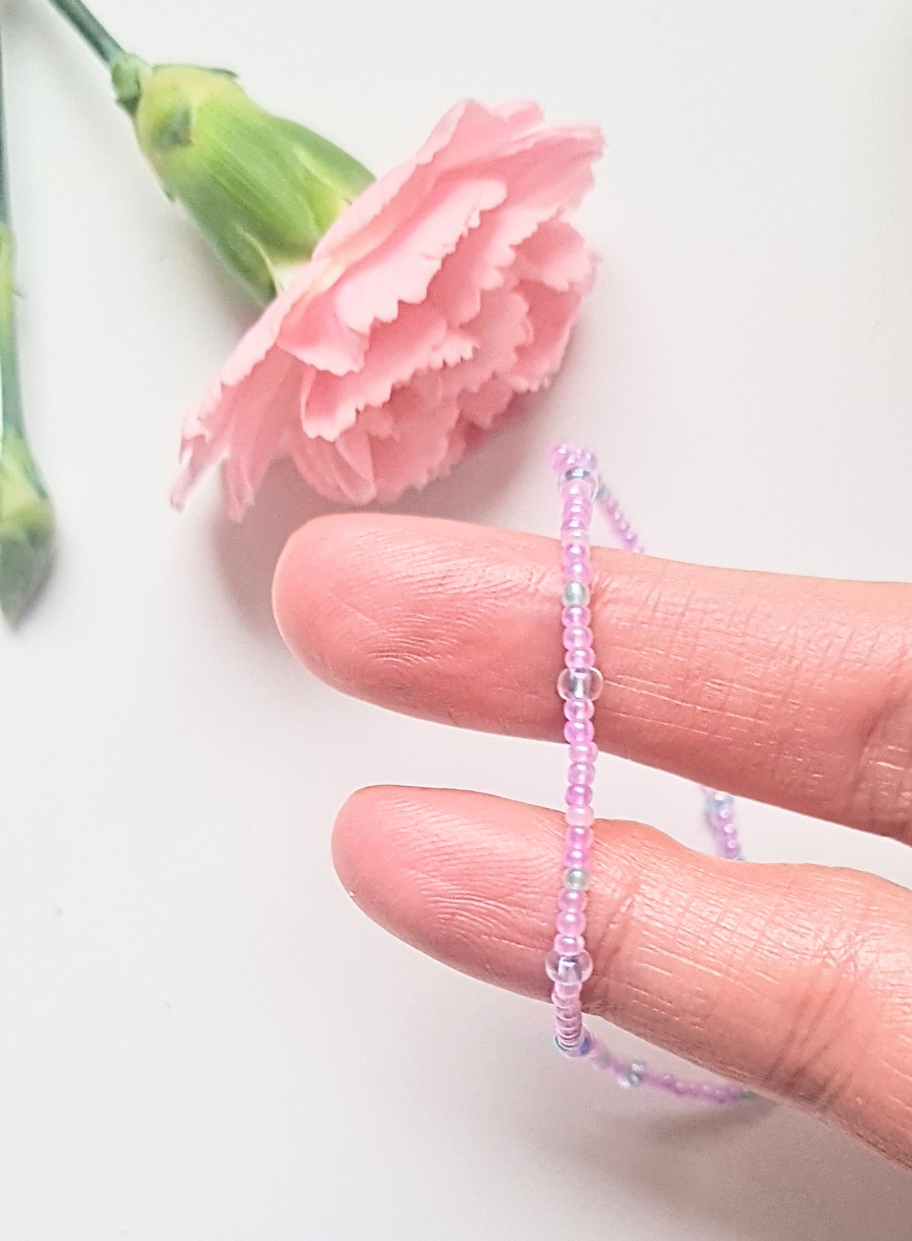 Lavender 09|The Light of Dawn