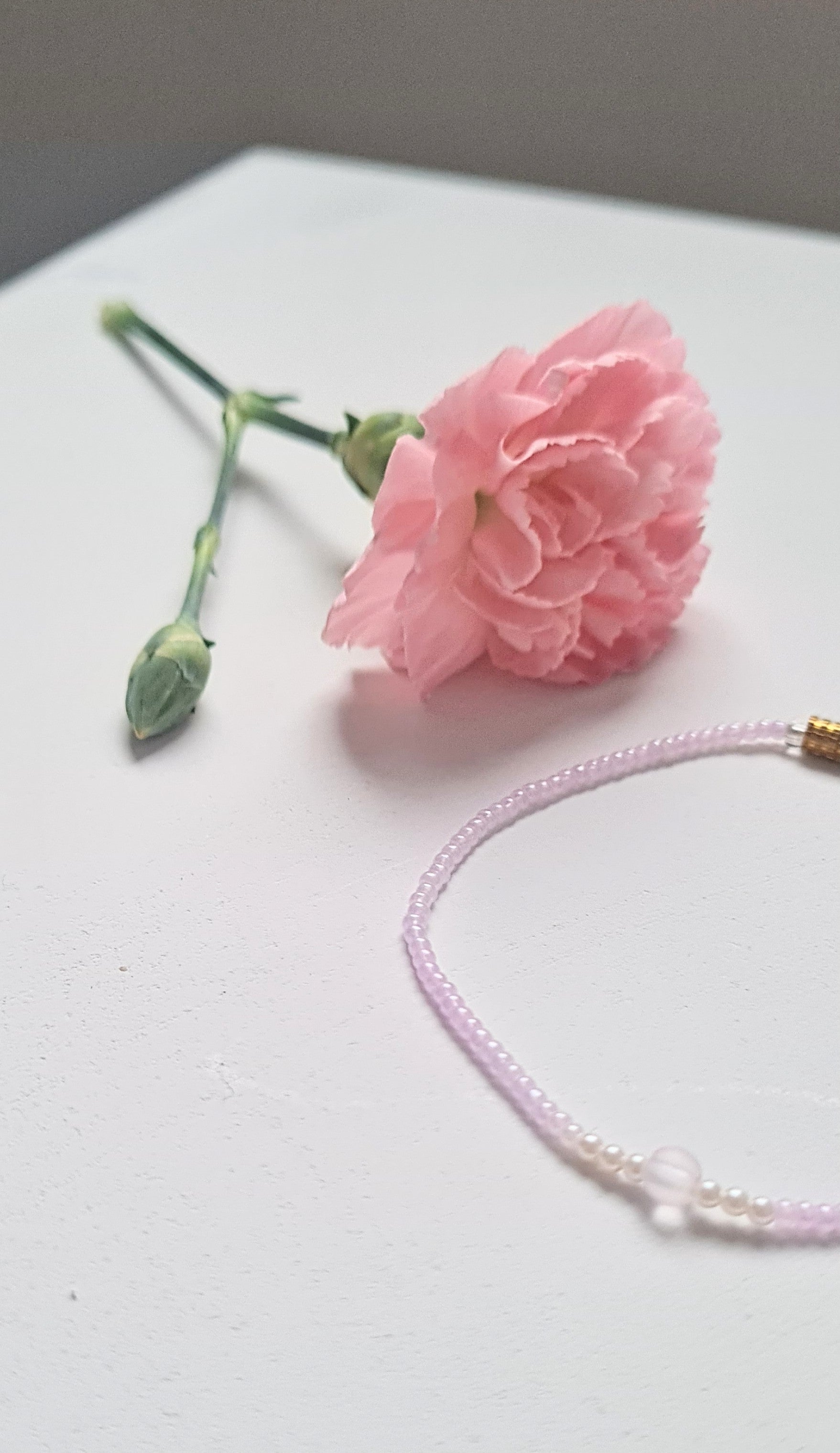 Lavender 15 |The Light of Dawn