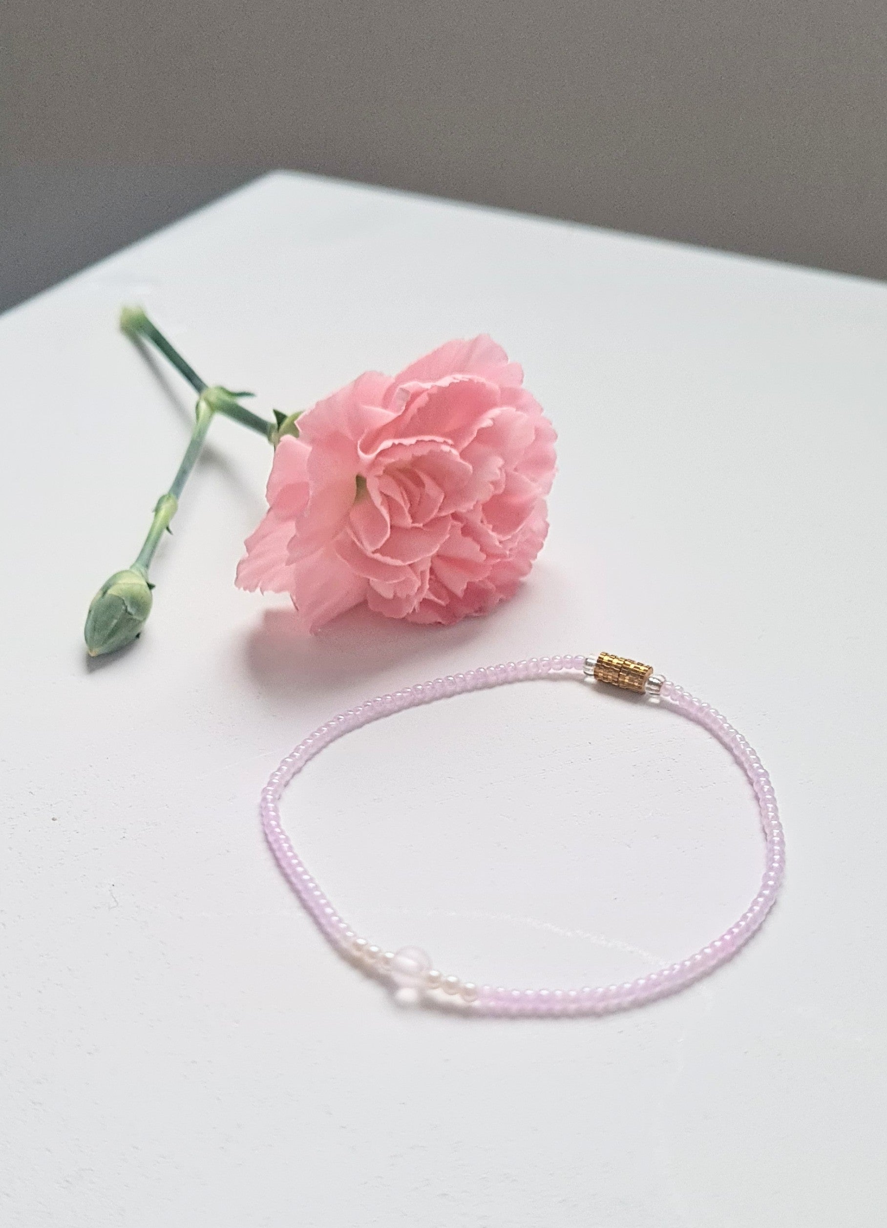 Lavender 15 |The Light of Dawn