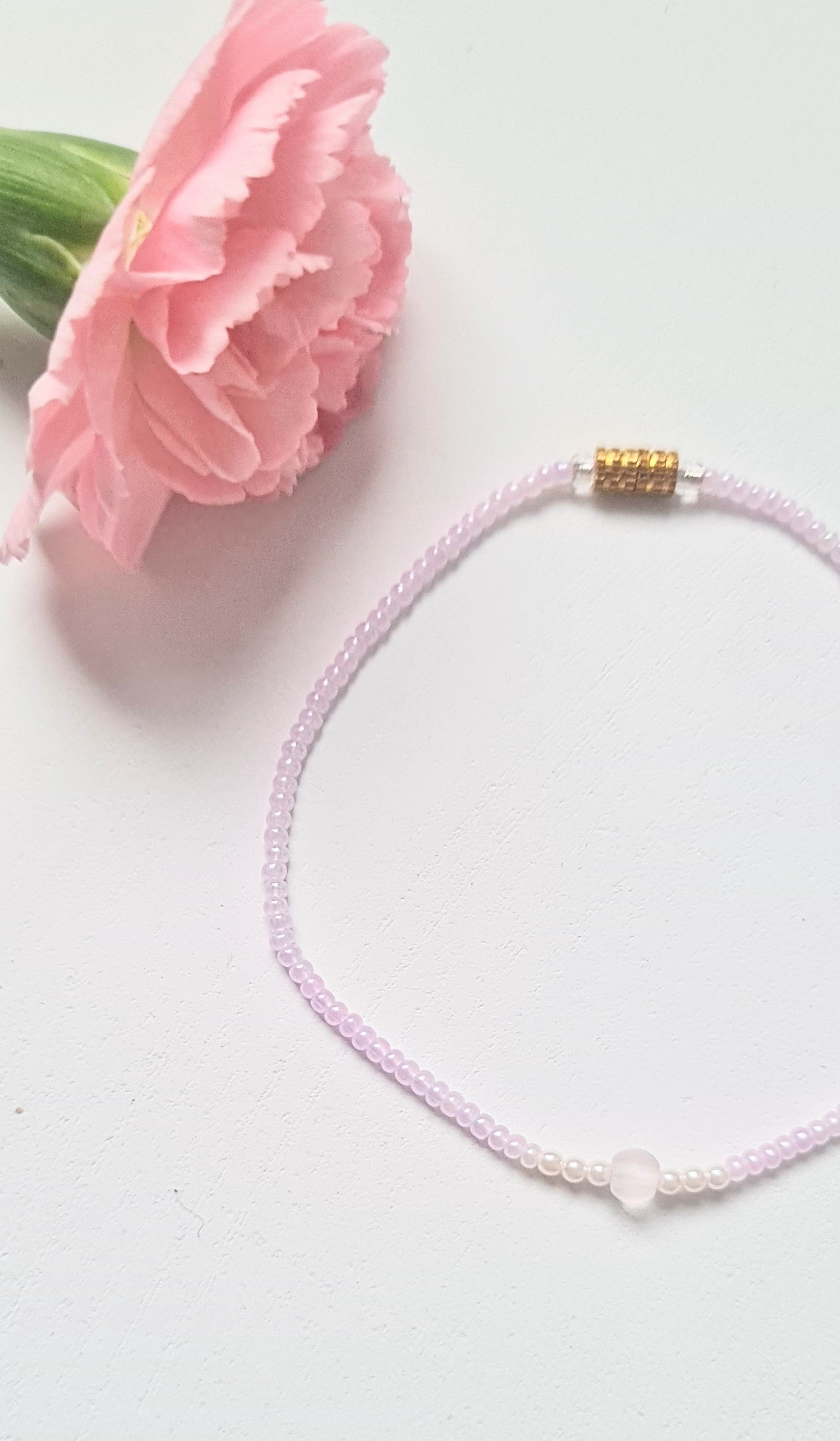 Lavender 15 |The Light of Dawn