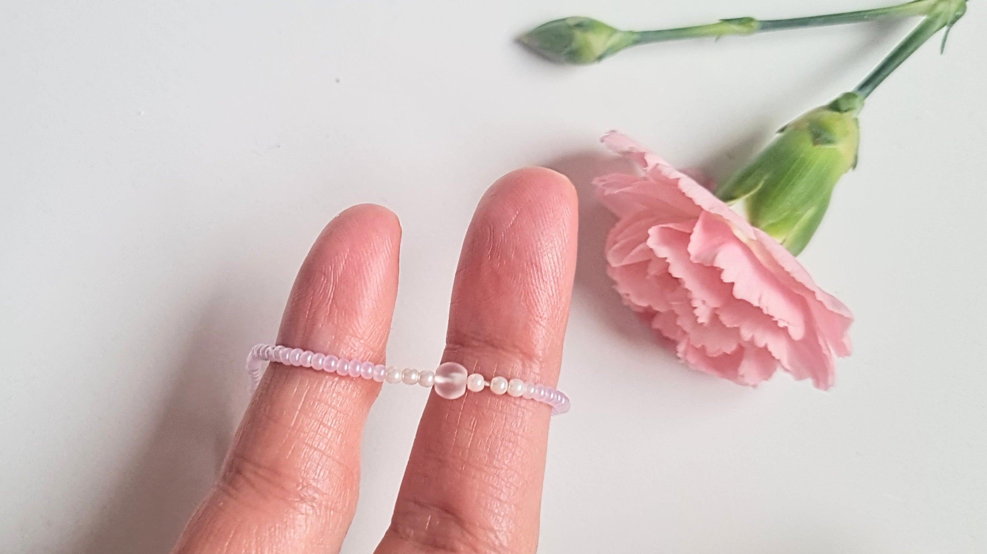 Lavender 15 |The Light of Dawn