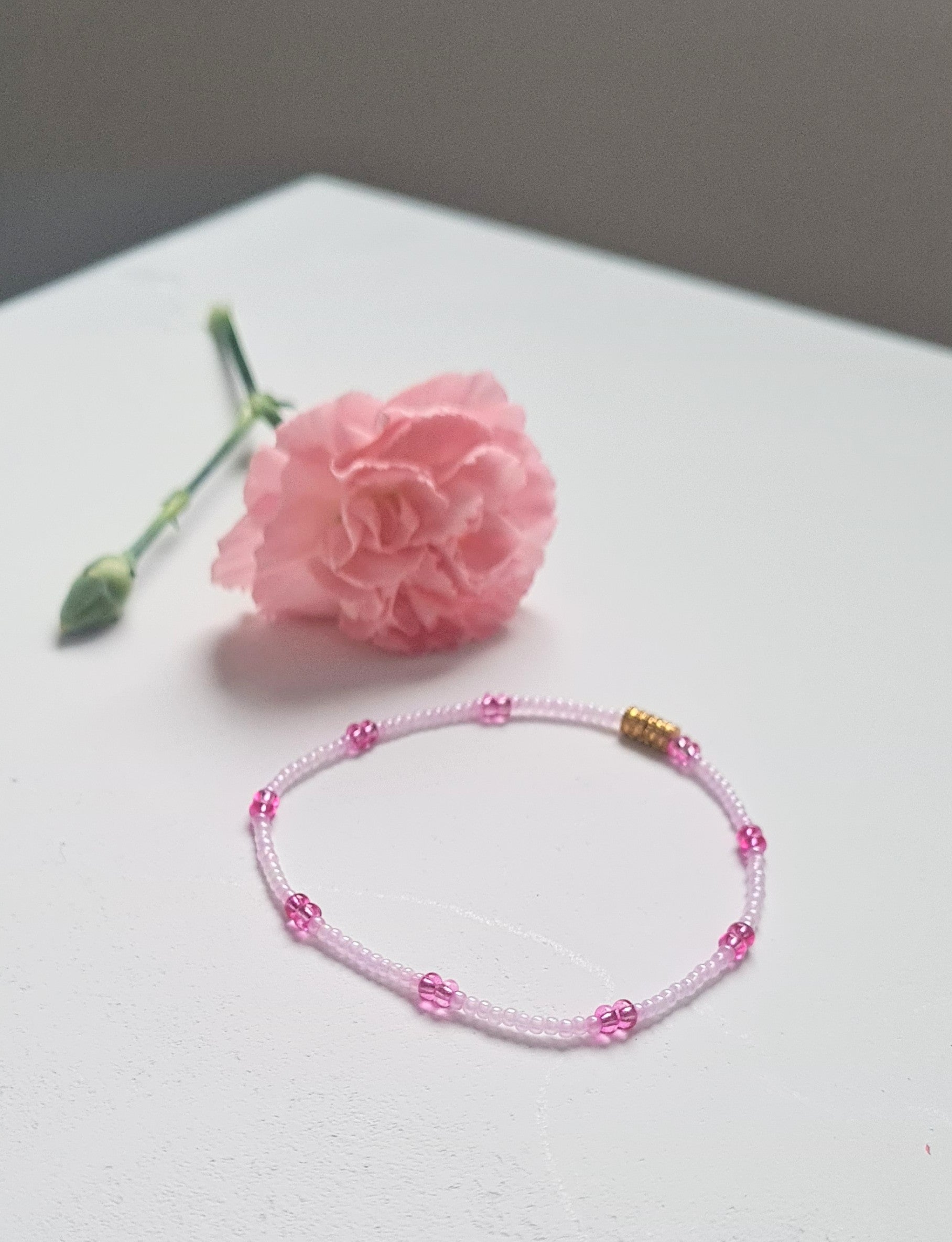 Lavender 14 |The Light of Dawn