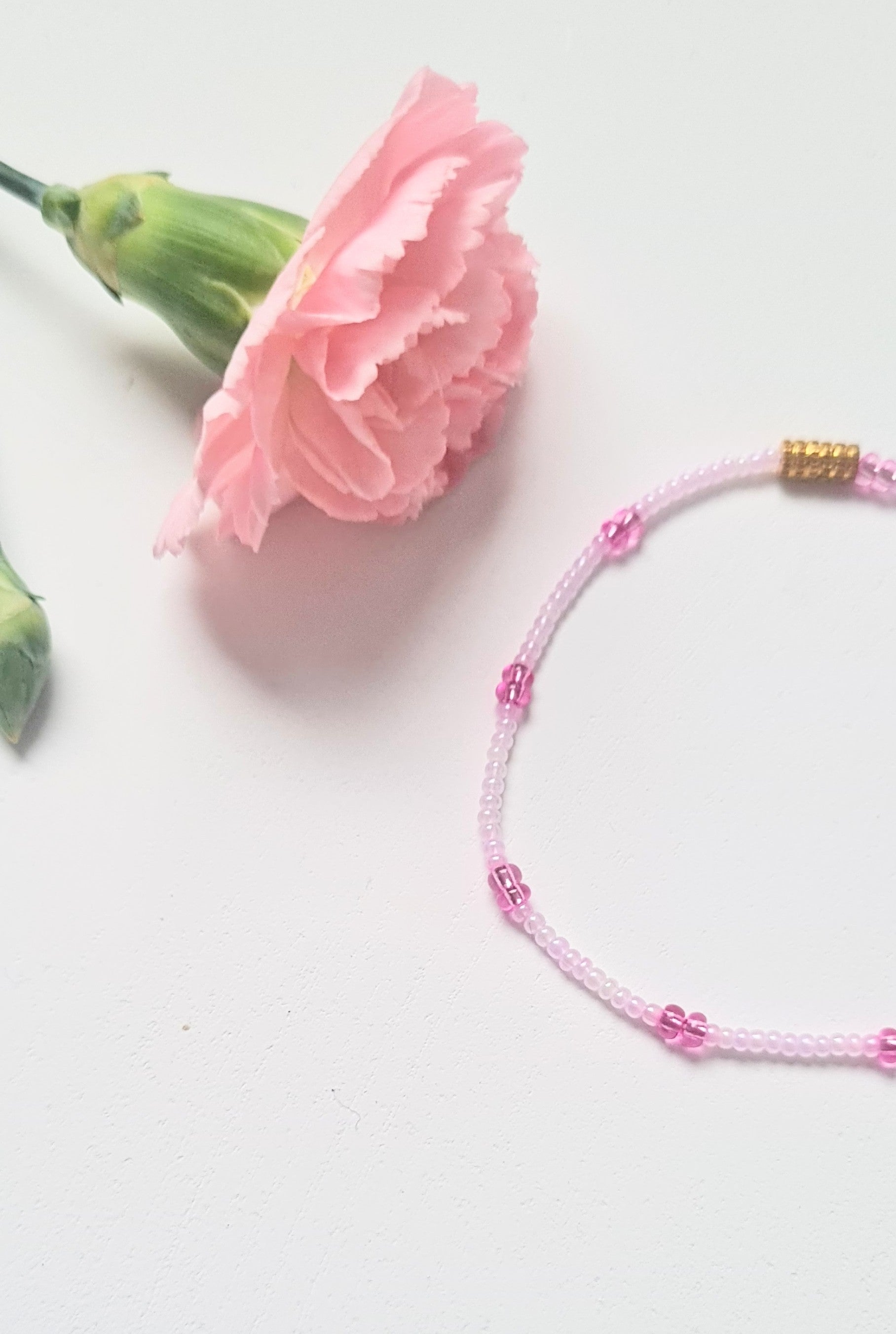 Lavender 14 |The Light of Dawn