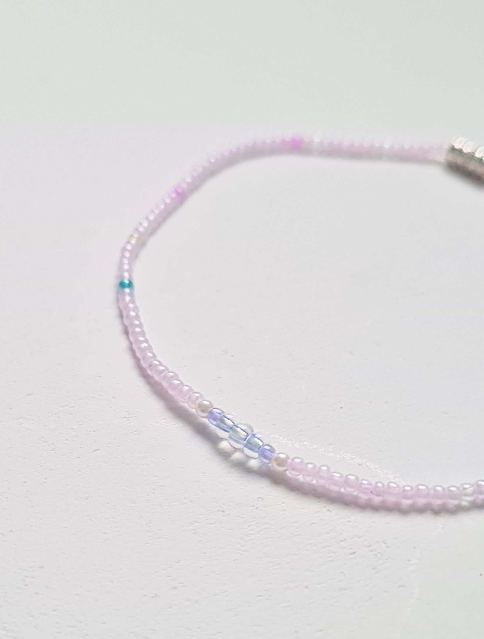Lavender 03|The Light of Dawn