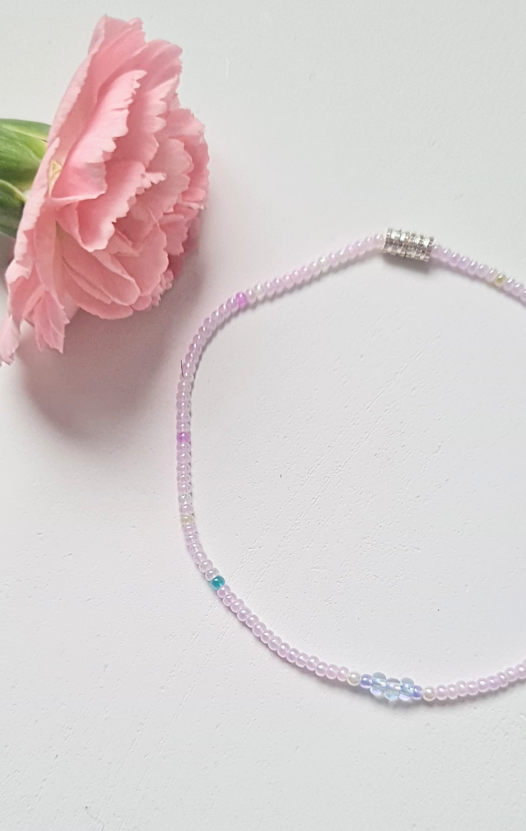 Lavender 03|The Light of Dawn