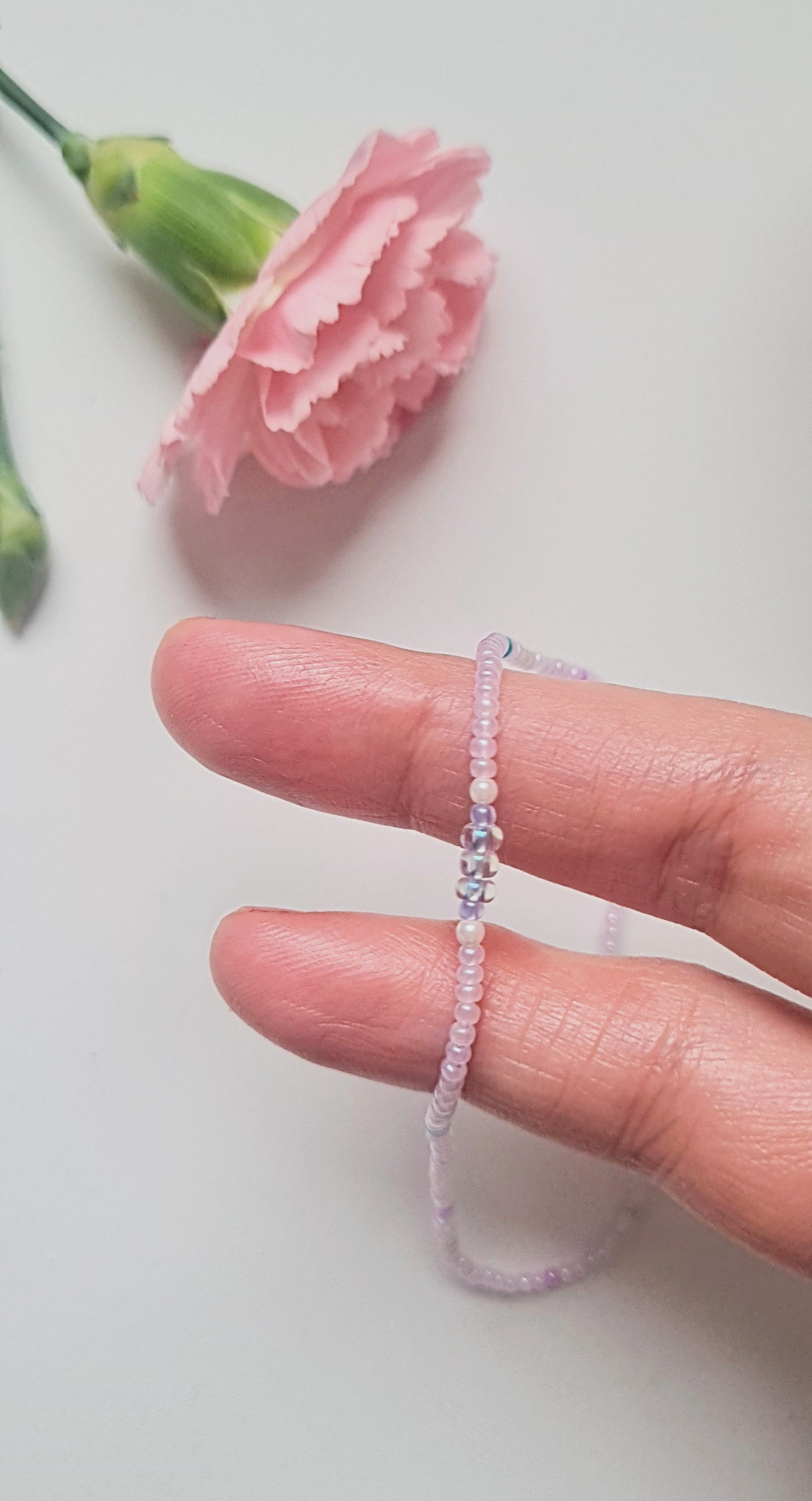 Lavender 03|The Light of Dawn