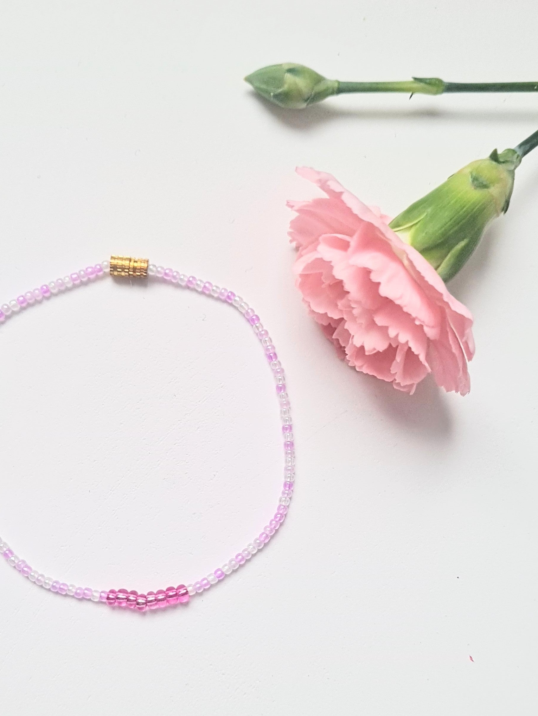 Lavender 02|The Light of Dawn