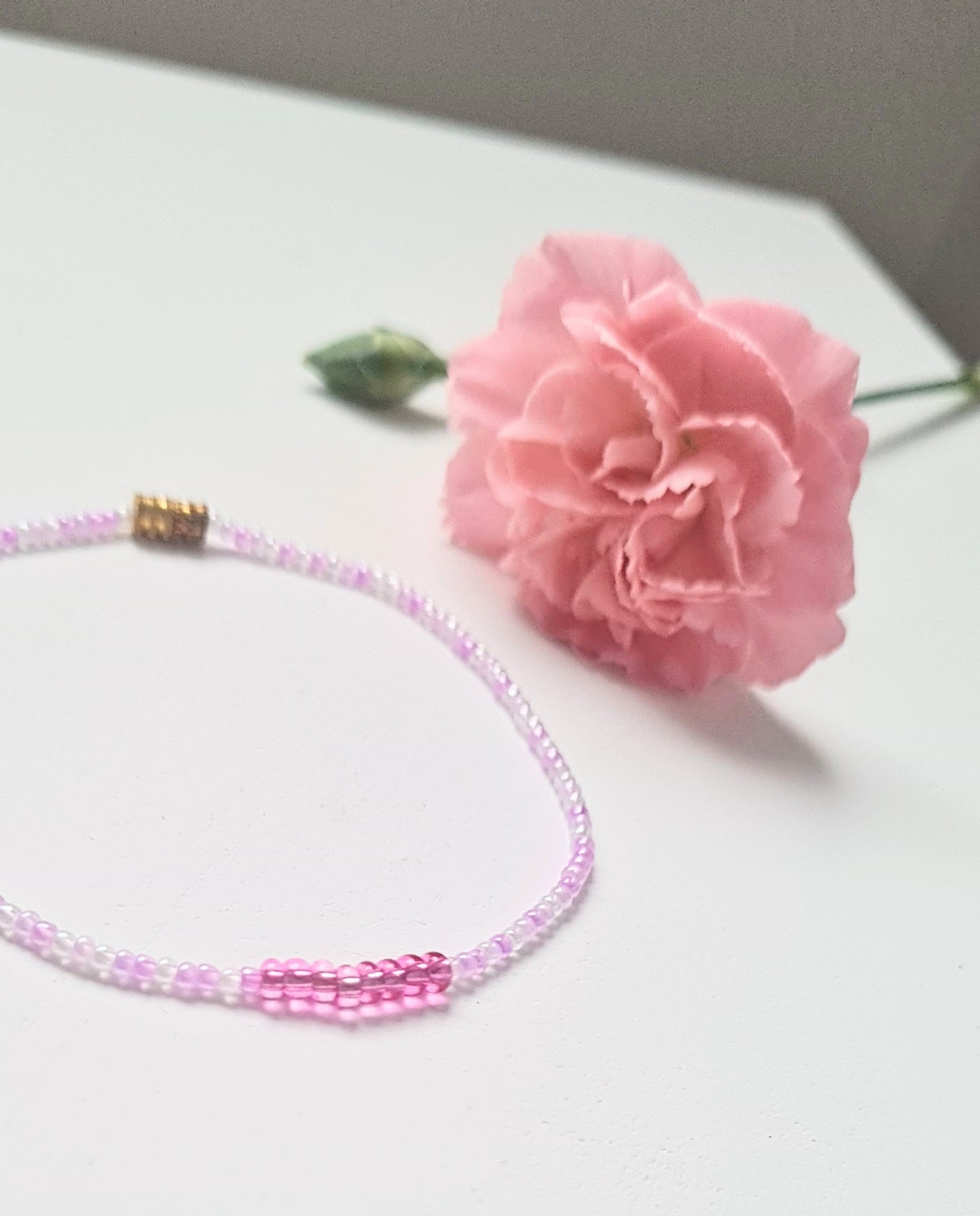 Lavender 02|The Light of Dawn