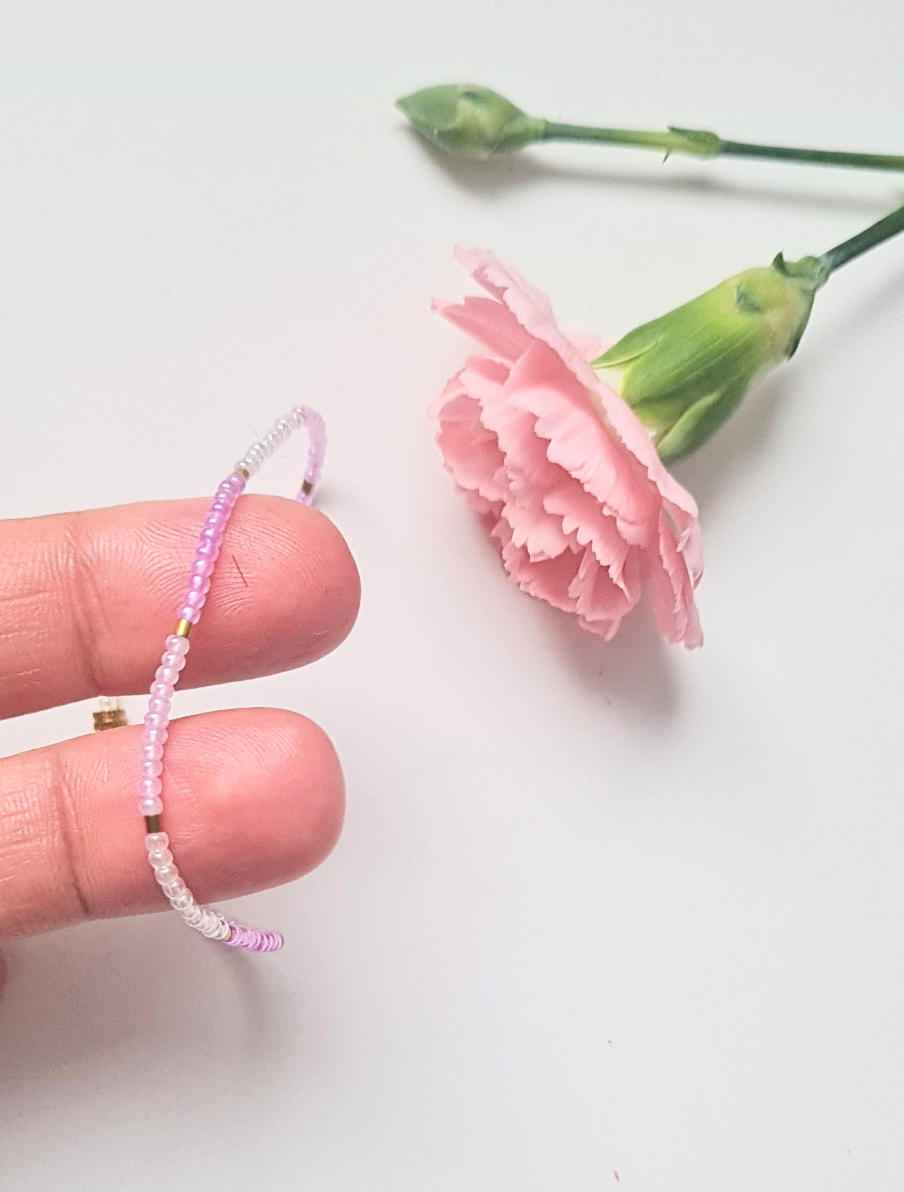 Lavender 13 |The Light of Dawn