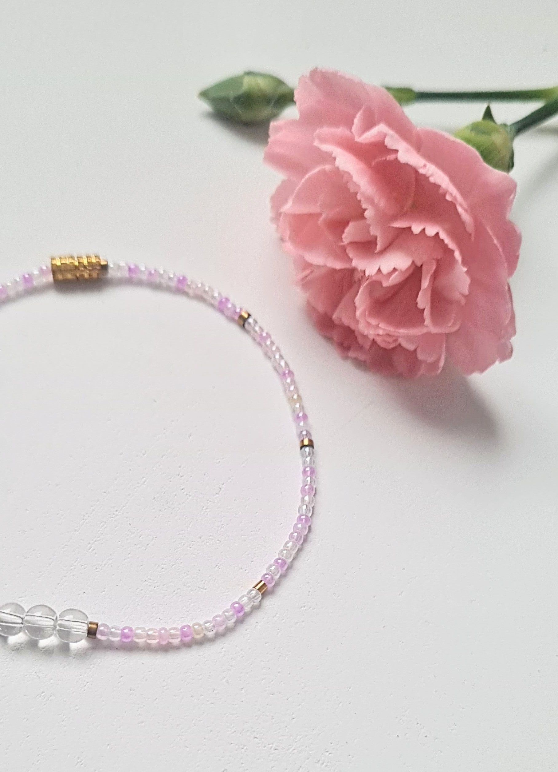 Lavender 10|The Light of Dawn