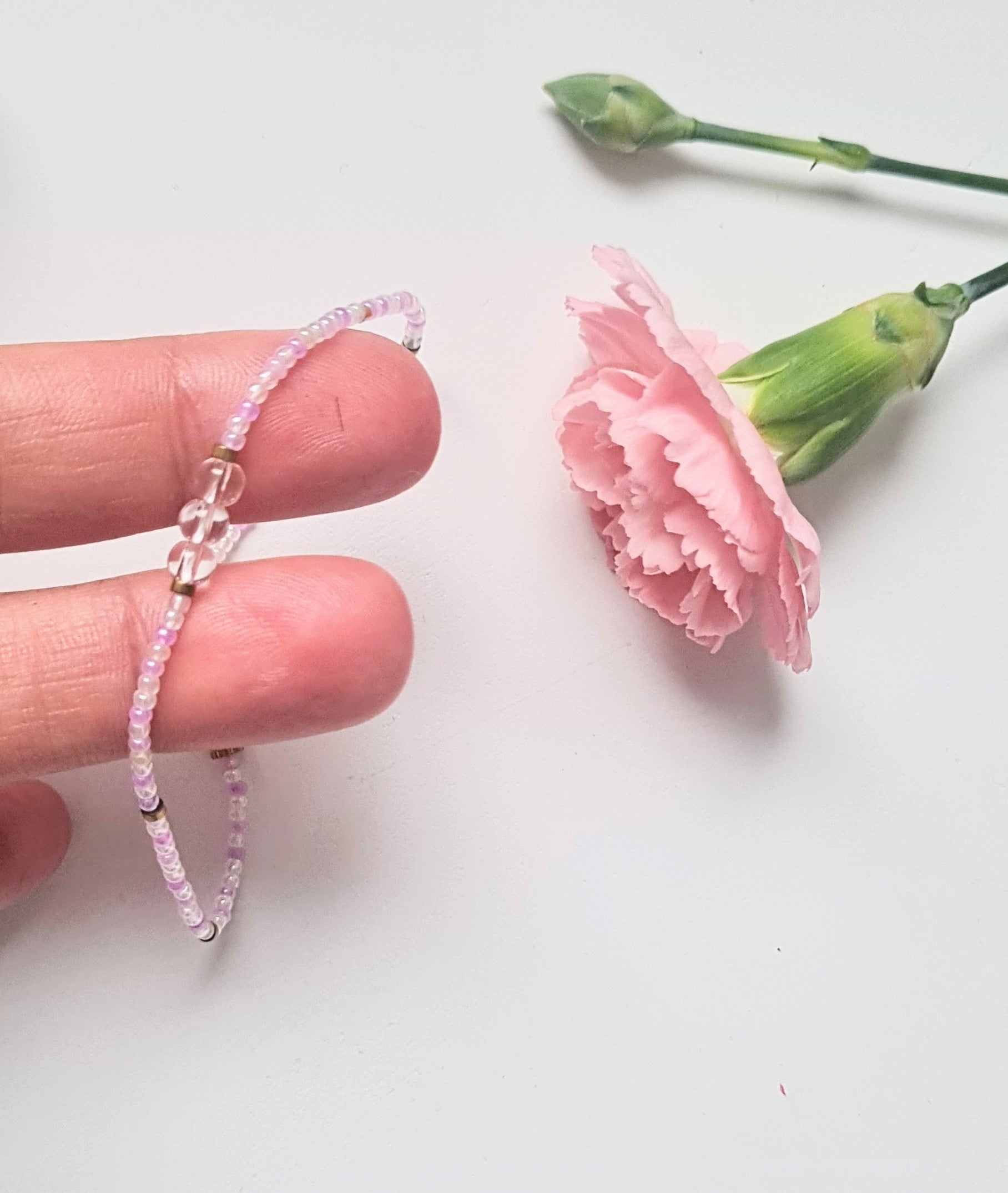 Lavender 10|The Light of Dawn