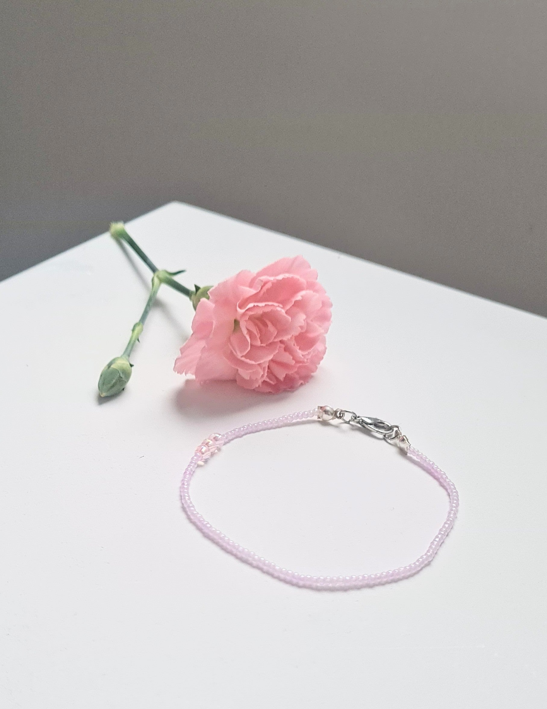 Lavender 01|The Light of Dawn
