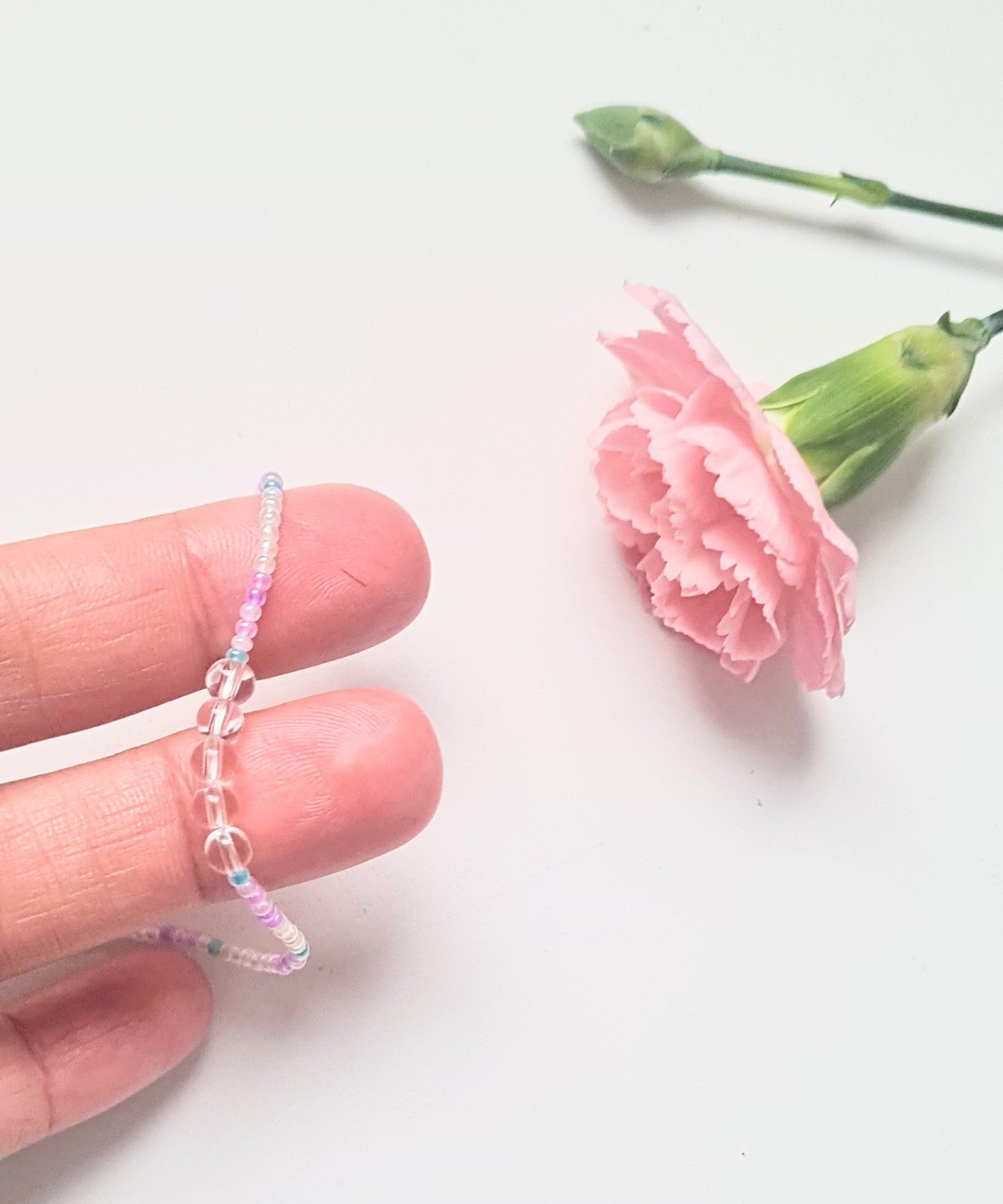Lavender 08|The Light of Dawn