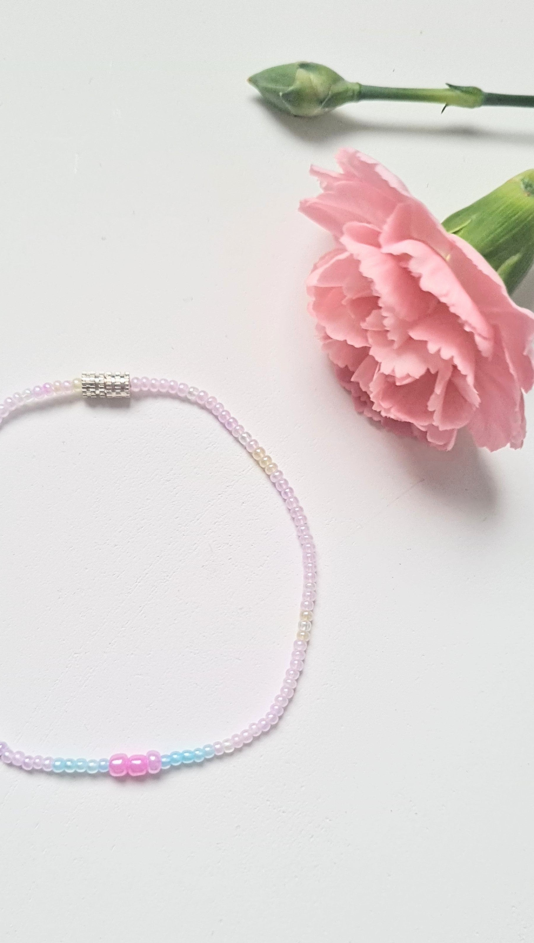 Lavender 13 |The Light of Dawn