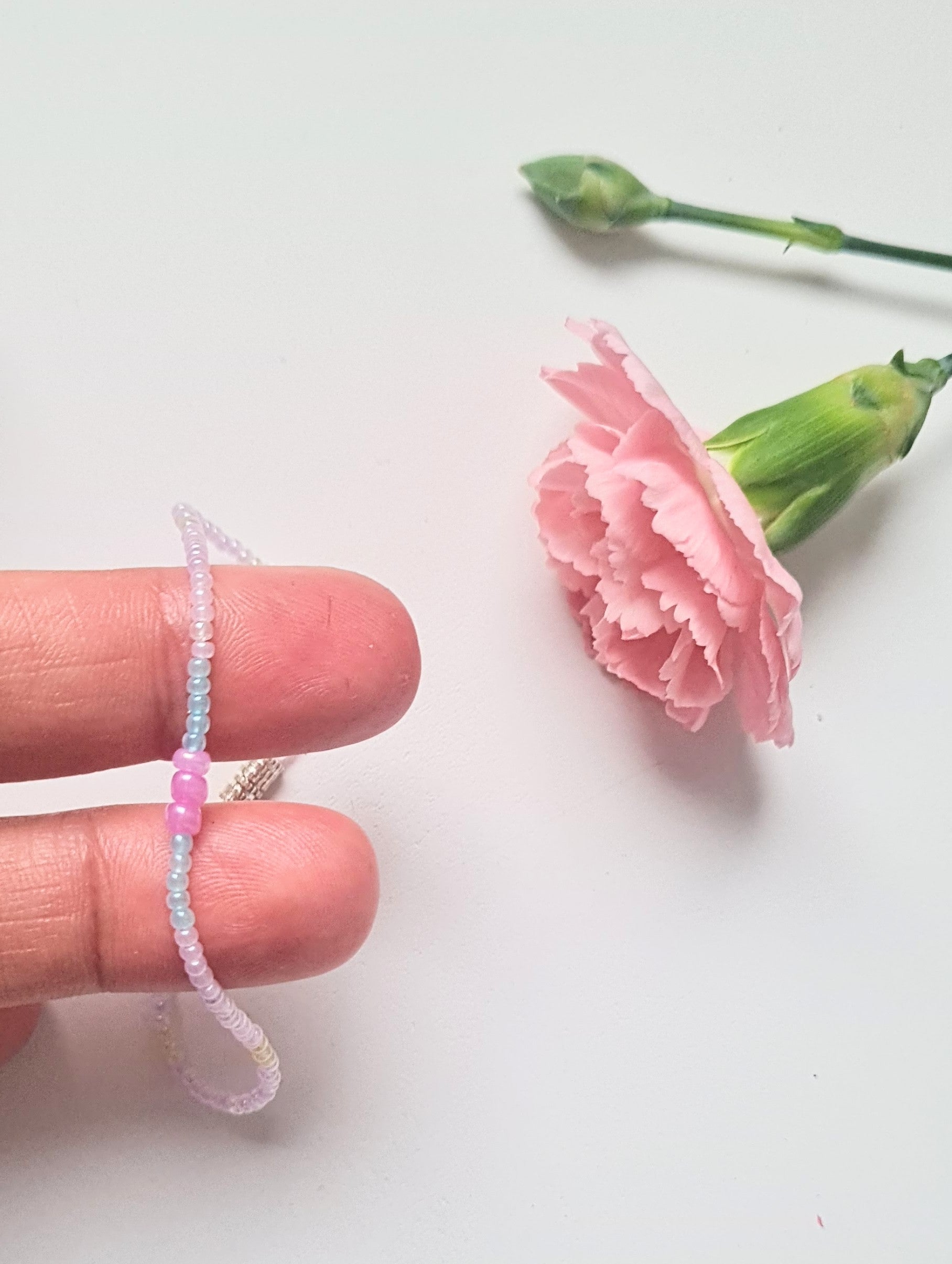 Lavender 12 |The Light of Dawn