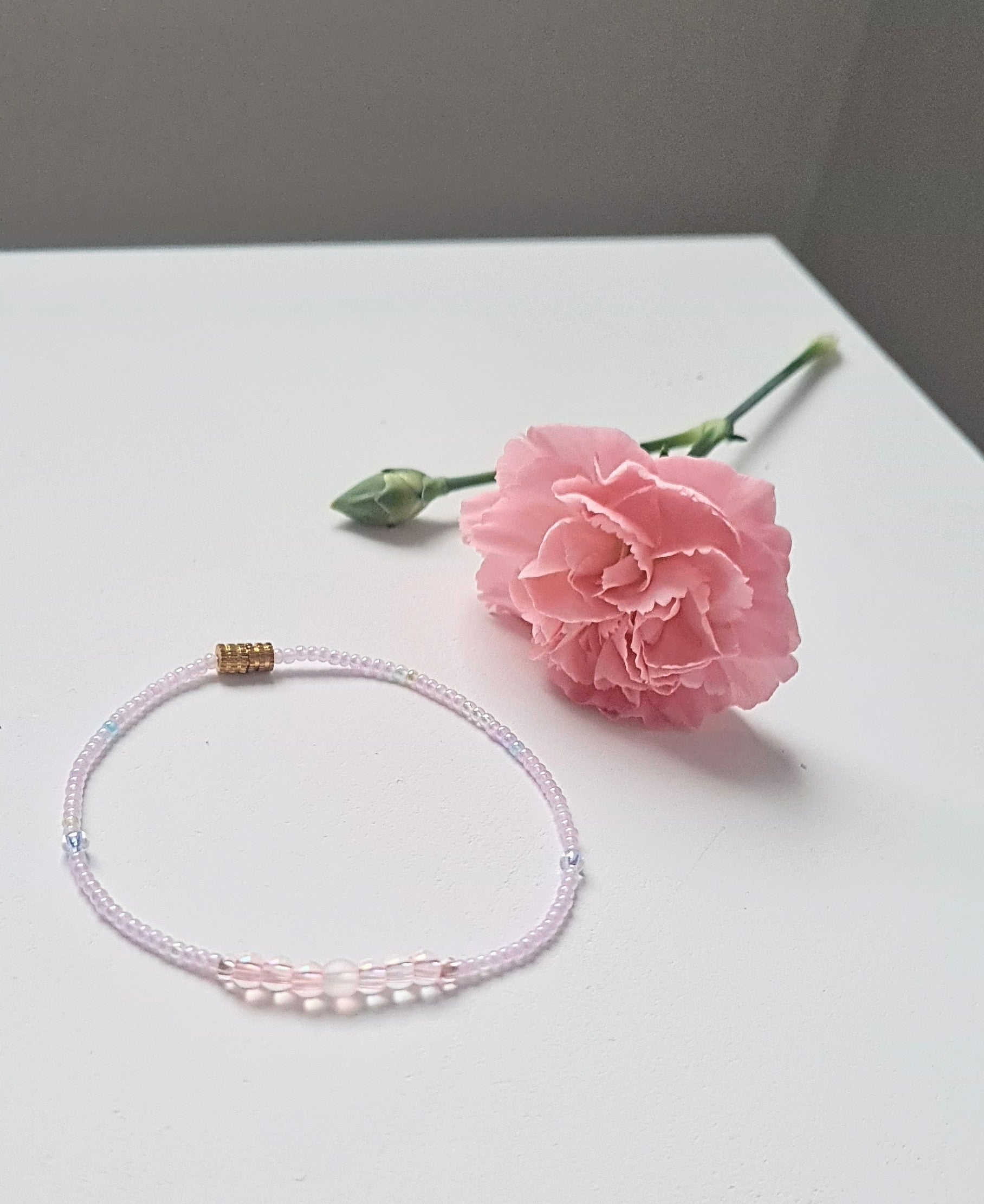 Lavender 06|The Light of Dawn