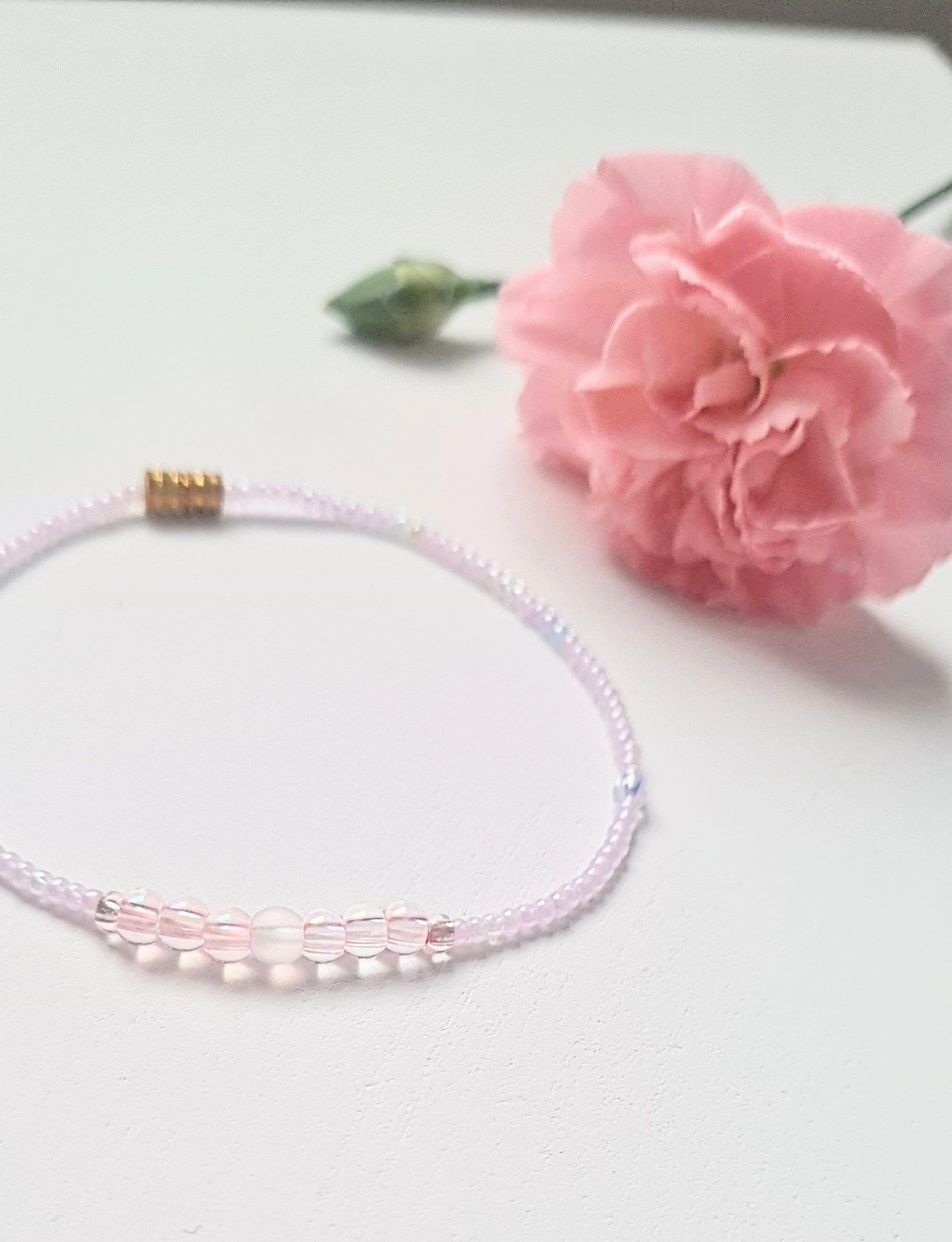 Lavender 06|The Light of Dawn