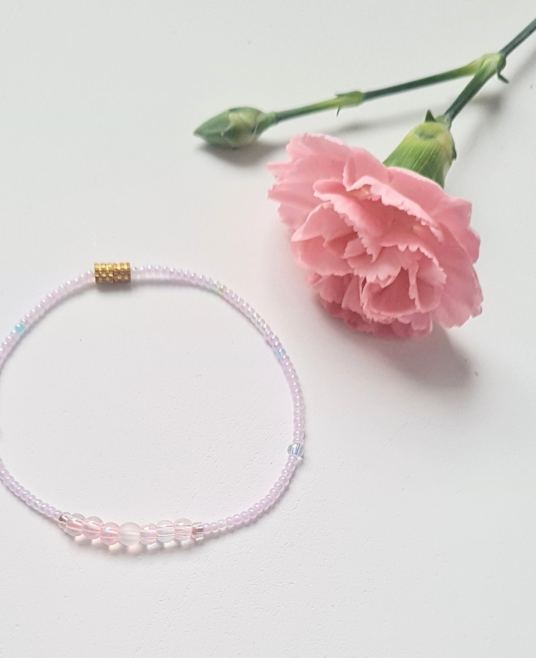 Lavender 06|The Light of Dawn