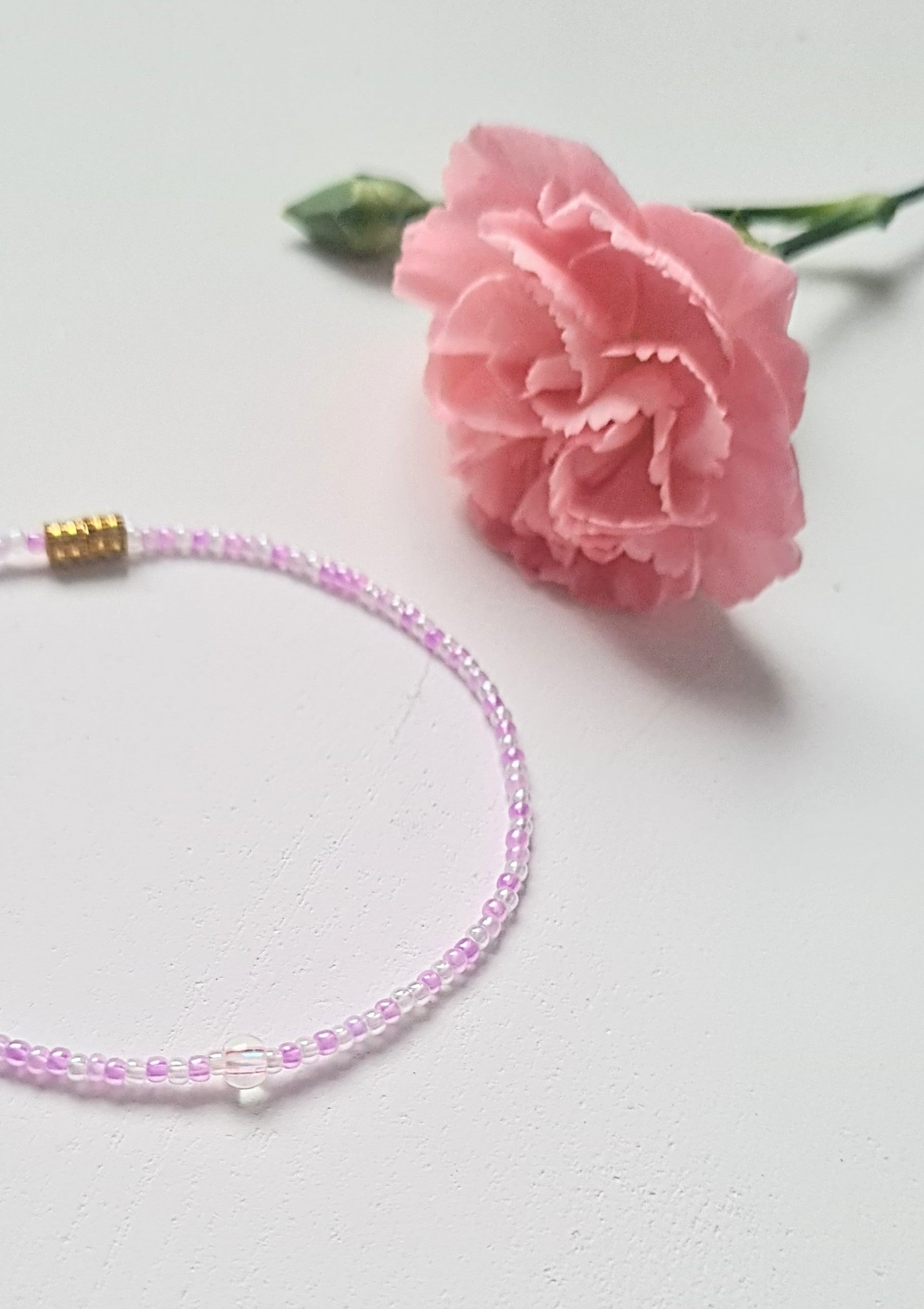 Lavender 04|The Light of Dawn