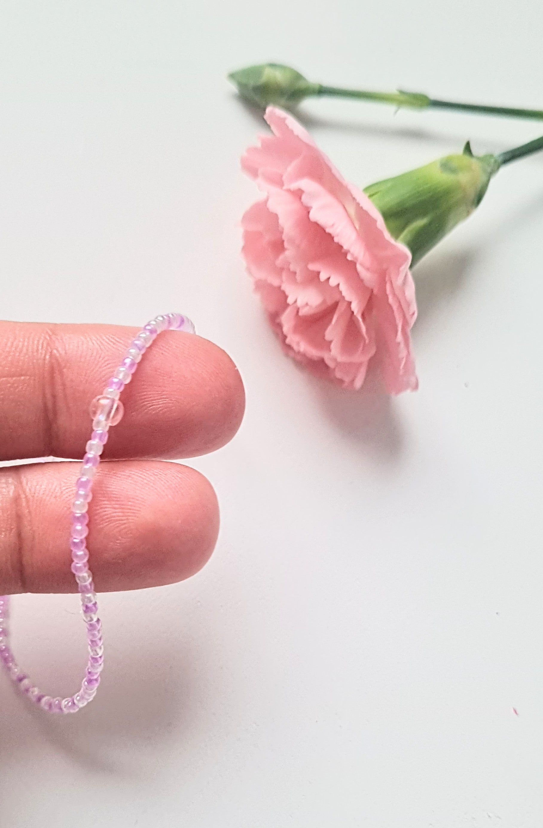 Lavender 04|The Light of Dawn