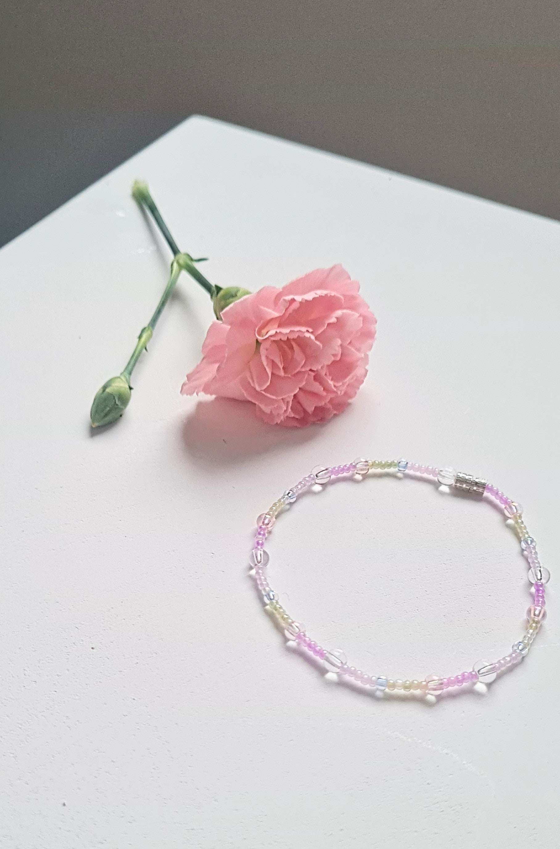 Lavender 07 |The Light of Dawn