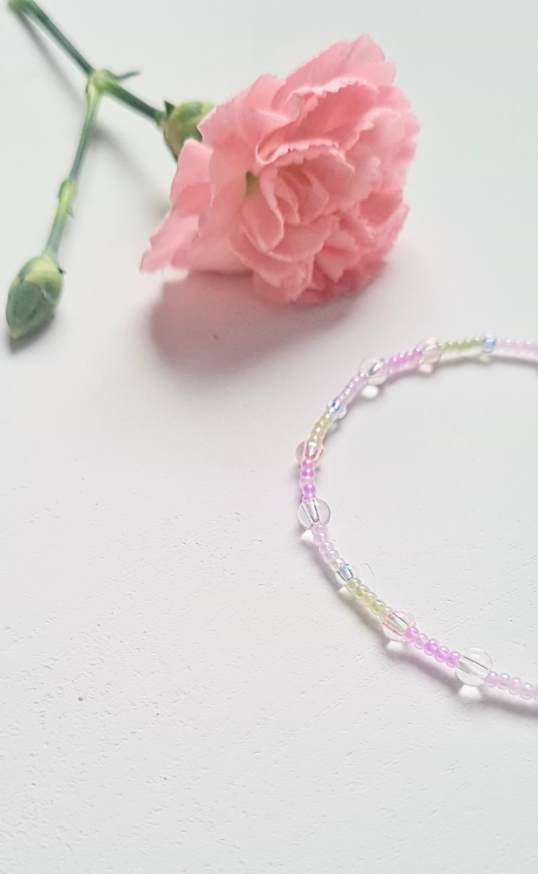 Lavender 07 |The Light of Dawn