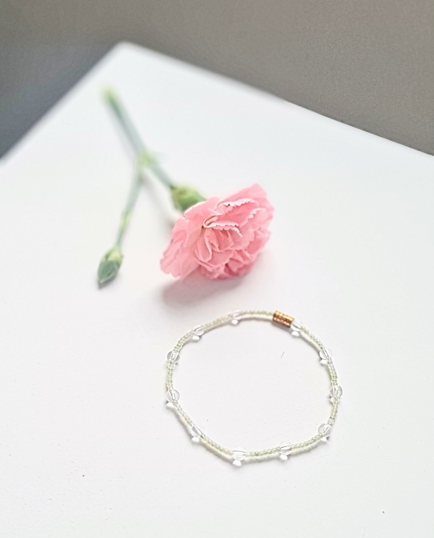 Light Olive 10|The Light of Dawn