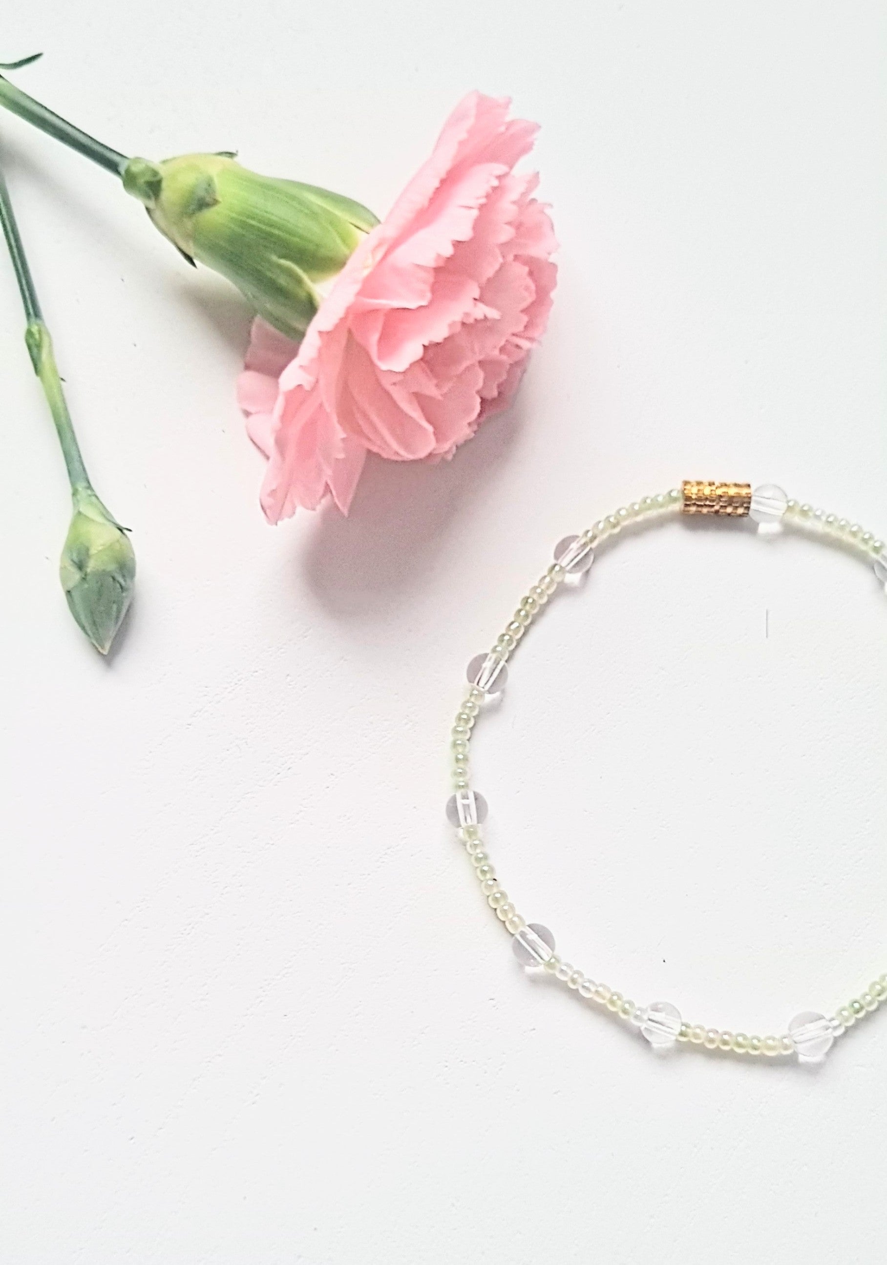Light Olive 10|The Light of Dawn