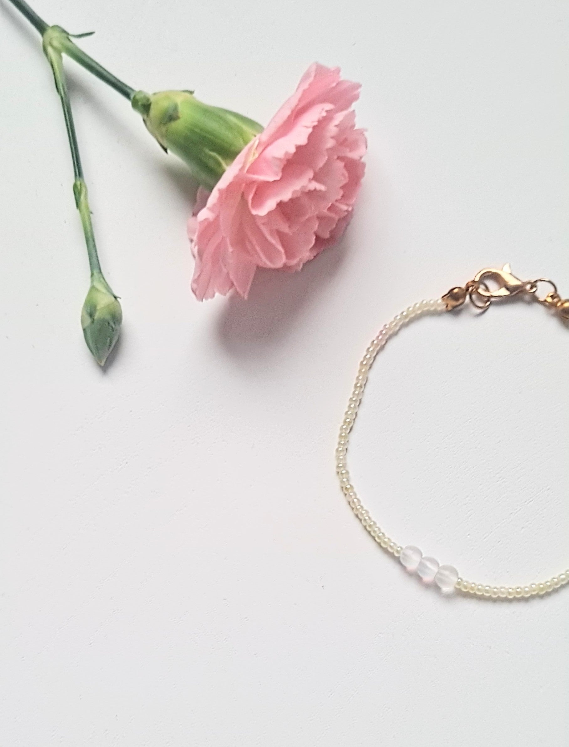 Light Olive 04 |The Light of Dawn