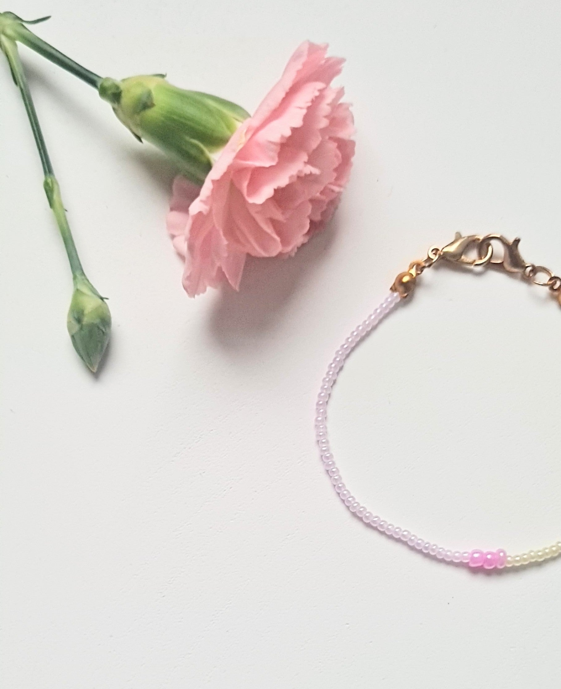 Light Olive 12|The Light of Dawn