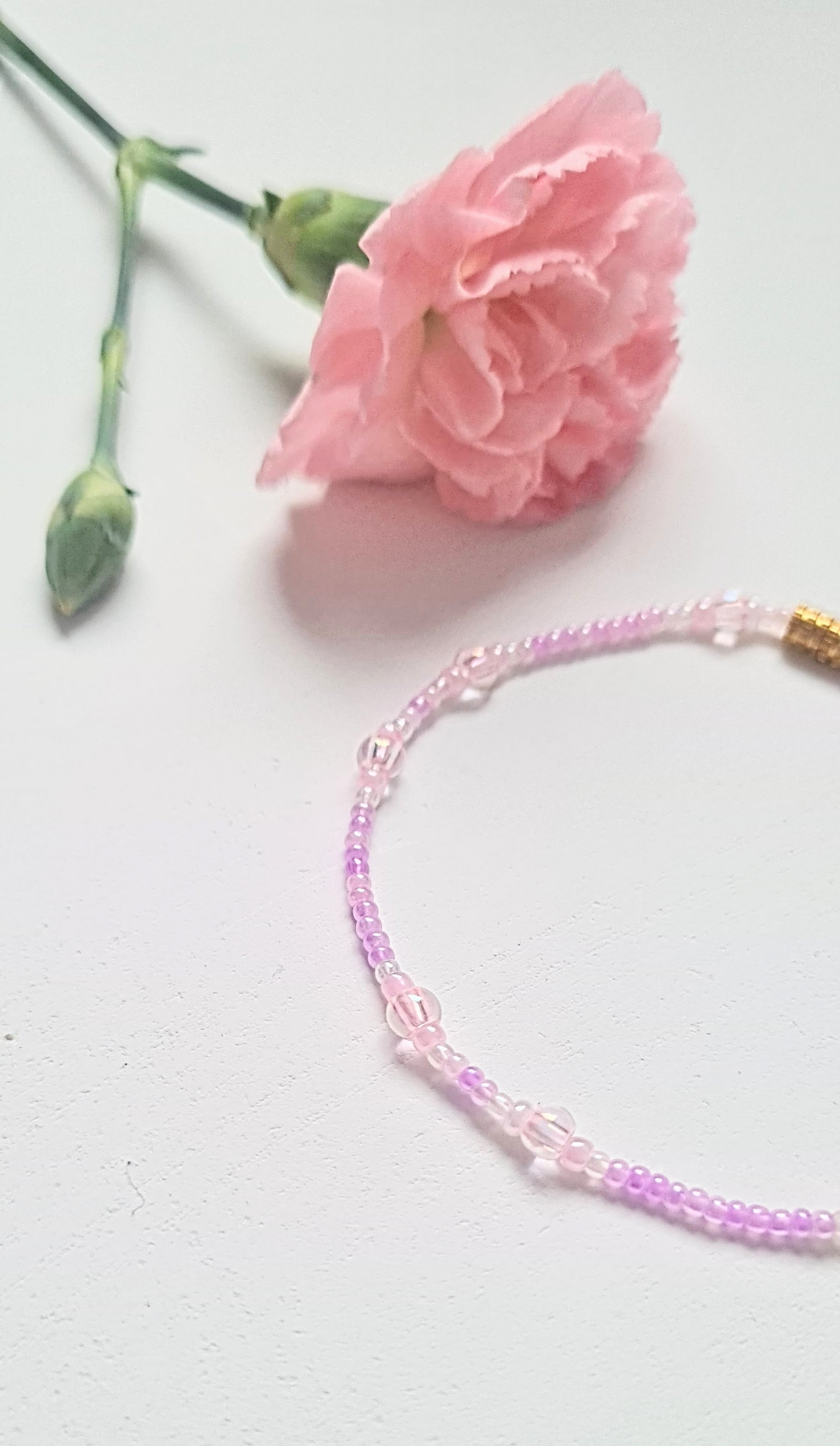 Lavender 05|The Light of Dawn