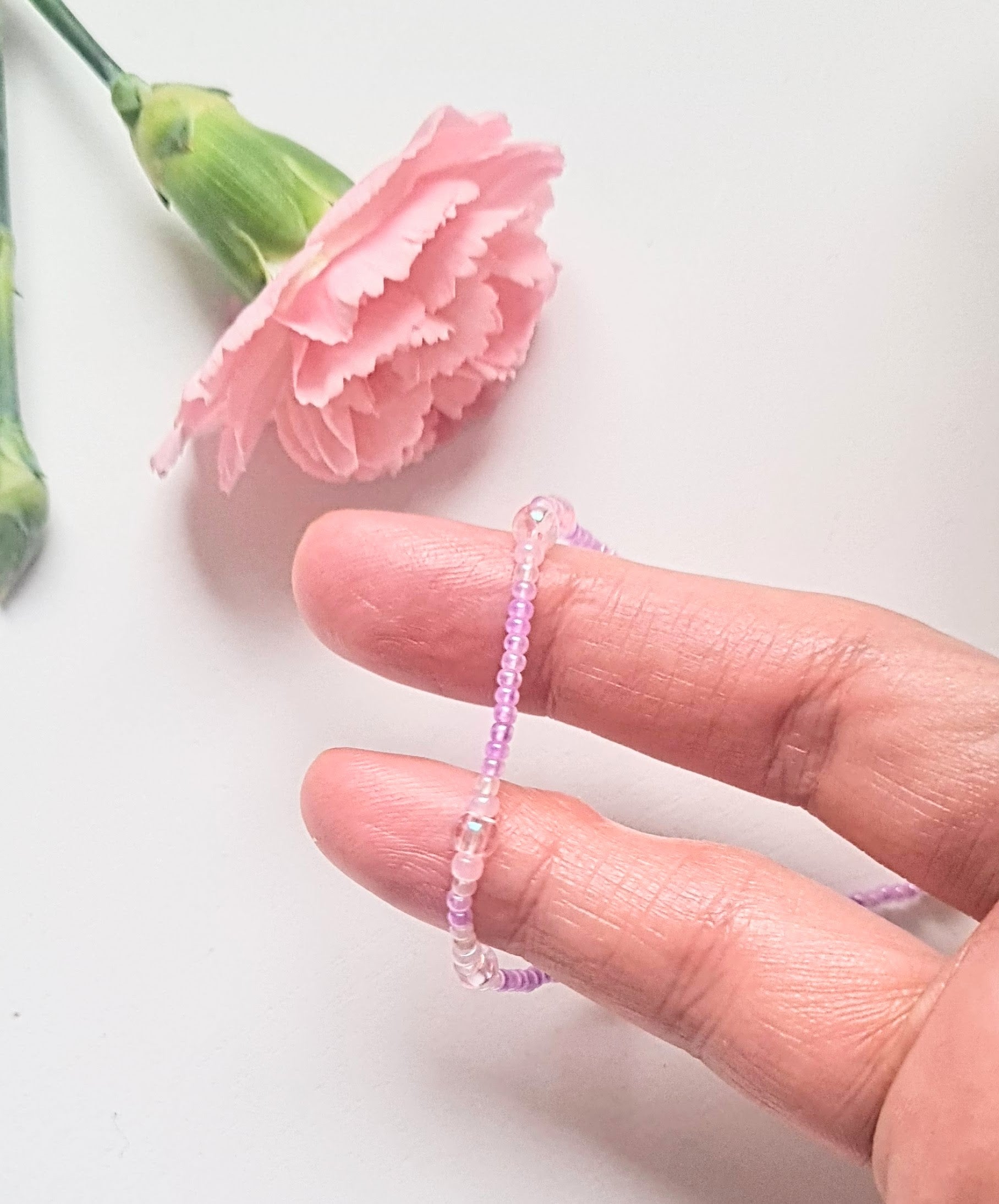 Lavender 05|The Light of Dawn