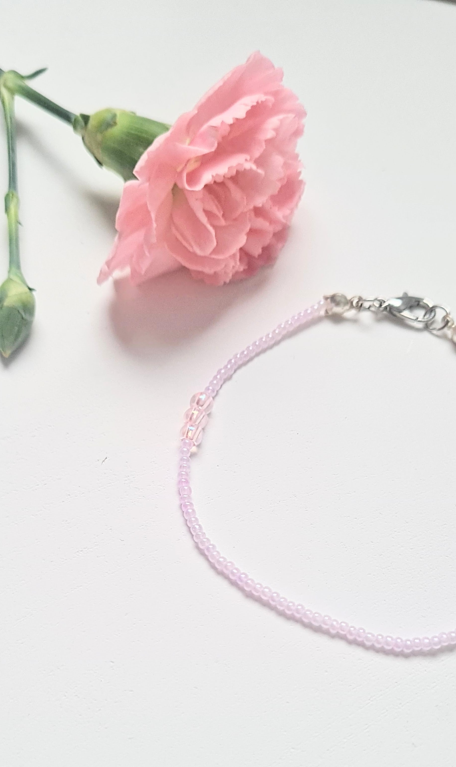 Lavender 01|The Light of Dawn